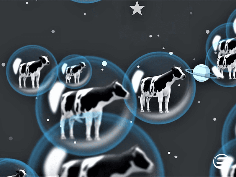 آیا گاوها بیشتر از اتومبیل ها متان تولید می کنند؟